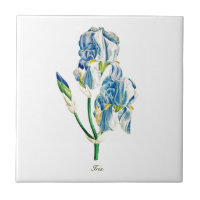 Vintage botanical blue iris flower