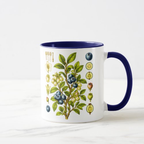 Vintage Botanical Blueberry Illustration Mug