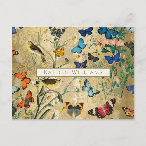 Vintage Botanical Butterflies and Birds Postcard