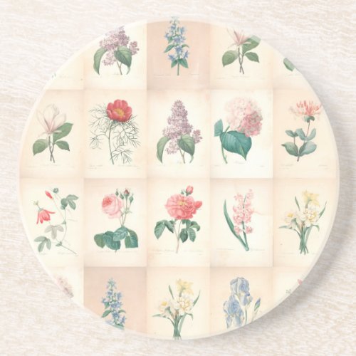 Vintage botanical by Redoute Coaster