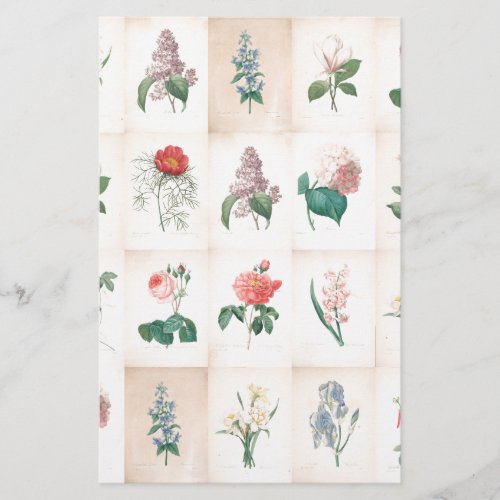 Vintage botanical by Redoute Stationery