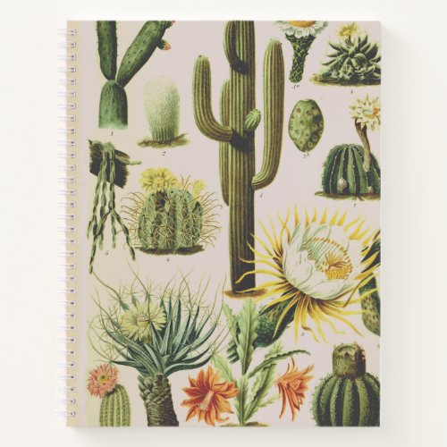 Vintage Botanical Cactus Illustration Notebook