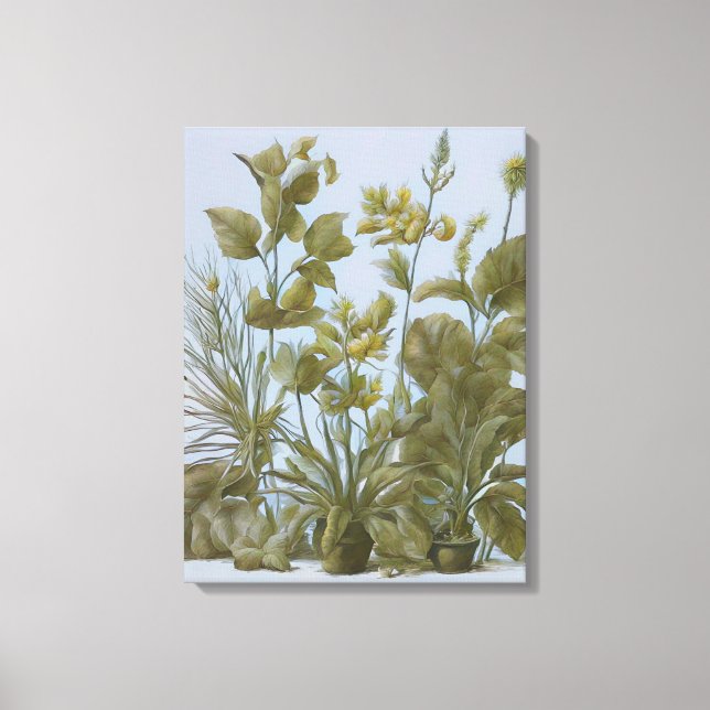 Vintage Botanical  Canvas Print (Front)