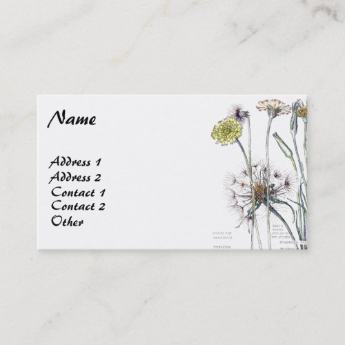 Vintage Botanical Catsear Business Cards