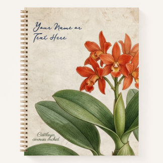 Vintage Botanical Cattleya Cernua Orchid Floral Notebook
