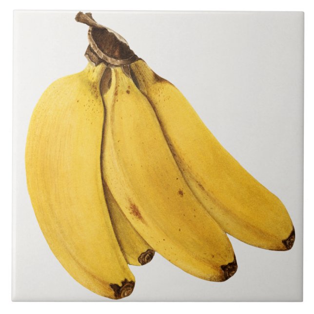 Vintage Botanical Ceramic Tile (Front)