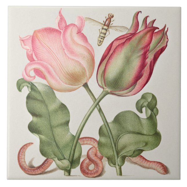 Vintage Botanical Ceramic Tile (Front)