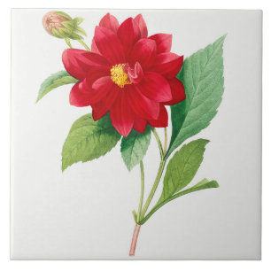 Vintage Botanical Ceramic Tile