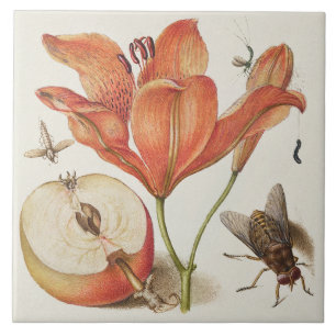 Vintage Botanical  Ceramic Tile