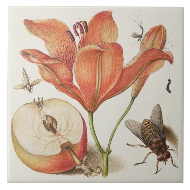 Vintage Botanical  Ceramic Tile (Front)