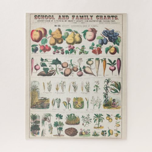 Vintage Botanical Chart Economical Uses of Plants Jigsaw Puzzle