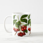 Vintage Botanical Cherries Print On White Coffee Mug at Zazzle