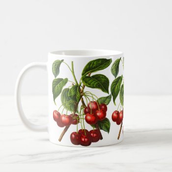 Vintage Botanical Cherries Print On White Coffee Mug by Floridity at Zazzle