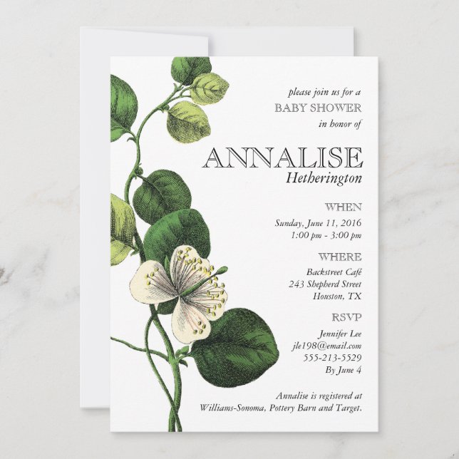 Vintage Botanical Chic Baby Shower Invitations (Front)
