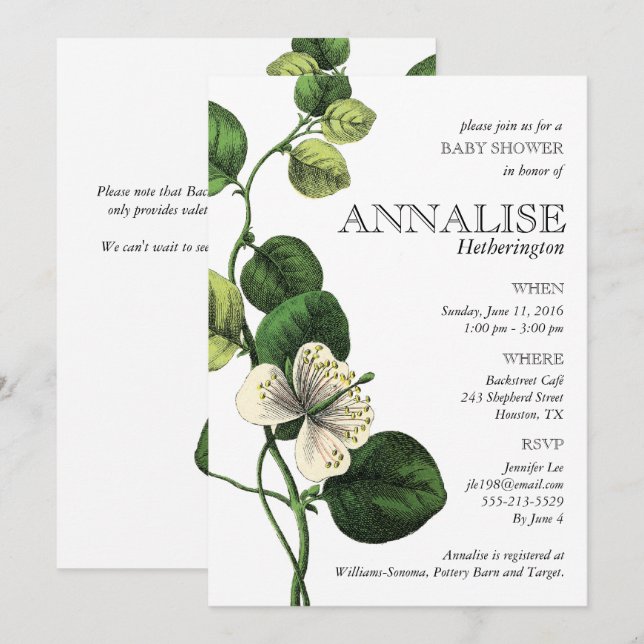 Vintage Botanical Chic Baby Shower Invitations (Front/Back)