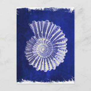 vintage botanical Coastal Blue White seashell Postcard
