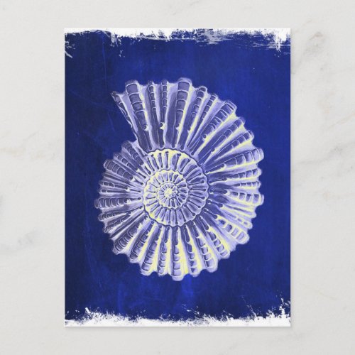 vintage botanical Coastal Blue White seashell Postcard