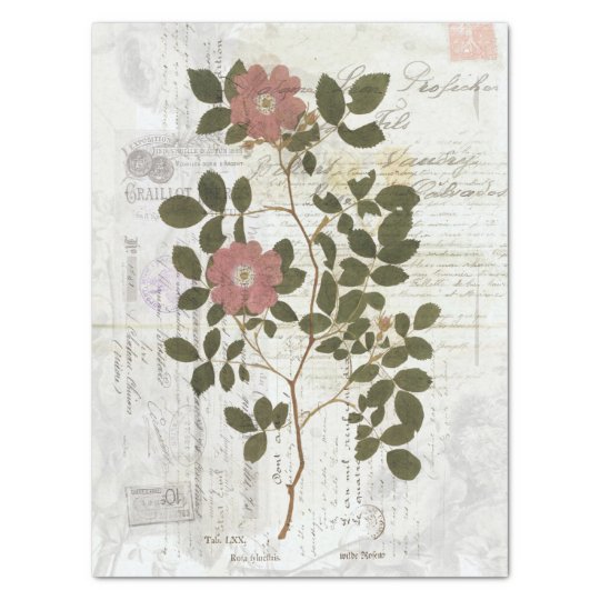 Vintage Botanical Collage - Tissue Paper | Zazzle.com