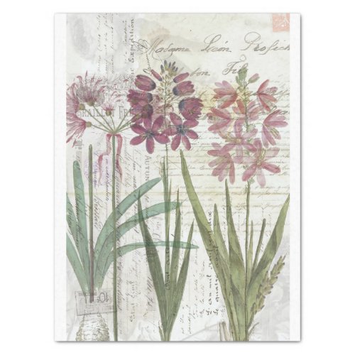 Vintage Botanical Collage_Tissue Paper