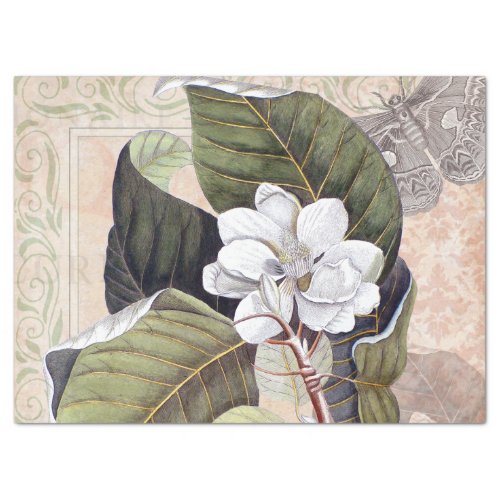 Vintage Botanical Collage with White Magnolia Tissue Paper