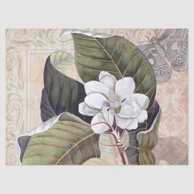 Vintage Botanical Collage with White Magnolia Tissue Paper (Front)