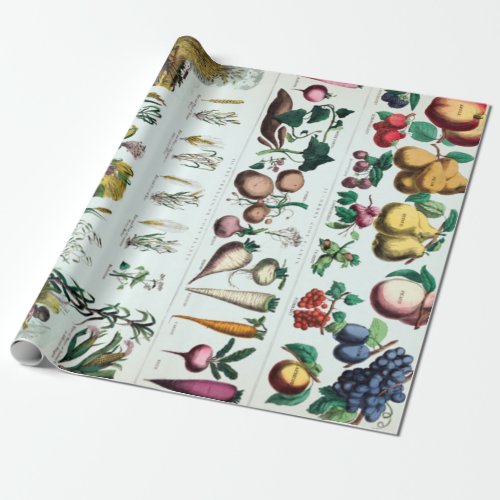 Vintage Botanical Educational Chart Wrapping Paper