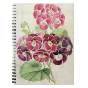 Vintage Botanical Fancy Pelargoniums Notebook