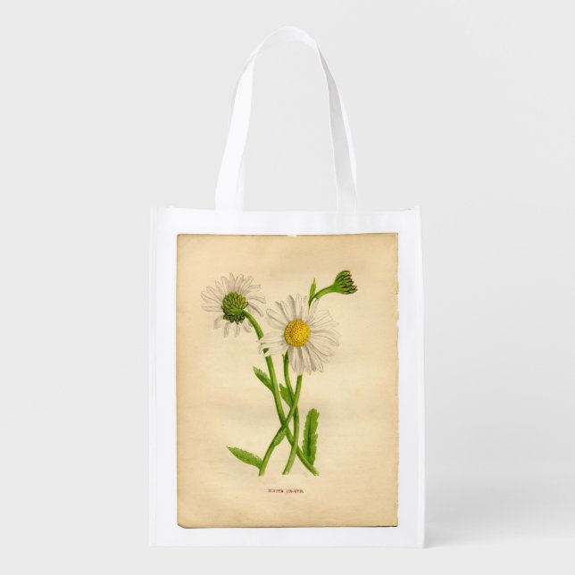 Vintage Botanical Fern and Daisy Illustration Grocery Bag (Front)