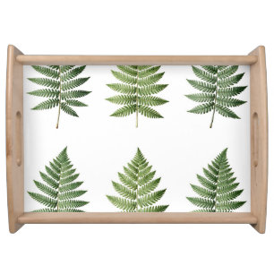 Vintage Botanical Fern Leaves Illustration Pattern Serving Tray