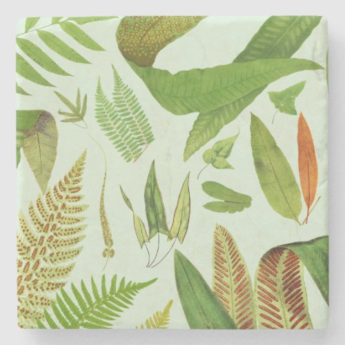 Vintage Botanical Ferns Stone Coaster