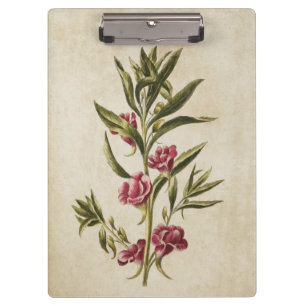 Vintage Botanical Floral Balsam Illustration Clipboard