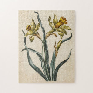 Vintage Botanical Floral Daffodil Jigsaw Puzzle