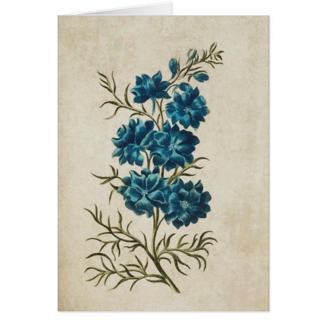 Vintage Botanical Floral Double Larkspur Cards (Front)
