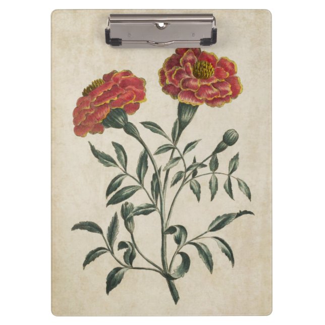 Vintage Botanical Floral French Marigold Clipboard (Front)