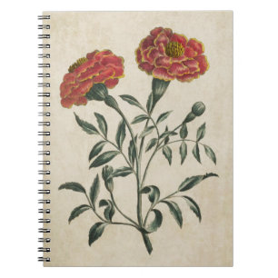 Vintage Botanical Floral French Marigold Notebook