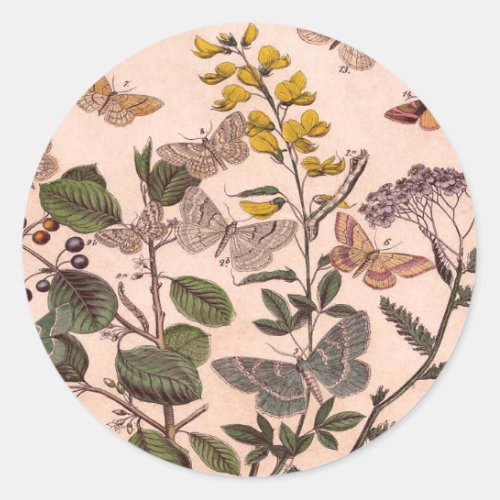 Vintage Botanical Floral Illustration Wildflowers Classic Round Sticker