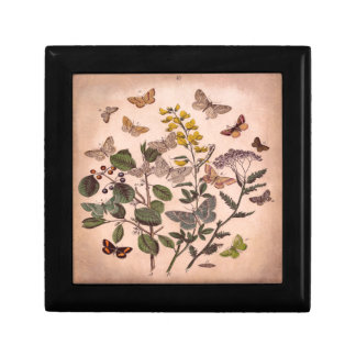 Vintage Botanical Floral Illustration Wildflowers Gift Box