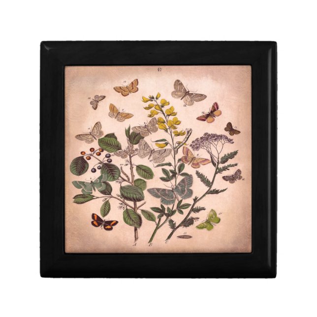Vintage Botanical Floral Illustration Wildflowers Gift Box (Front)