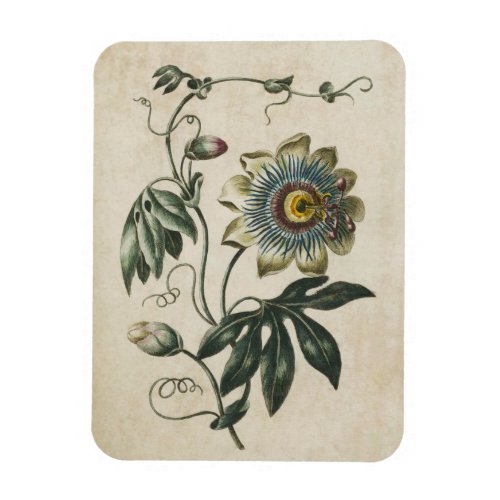 Vintage Botanical Floral Passion Flower Magnet
