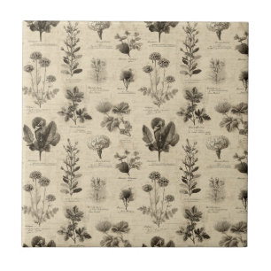 Vintage Botanical Floral Pattern (11) Ceramic Tile