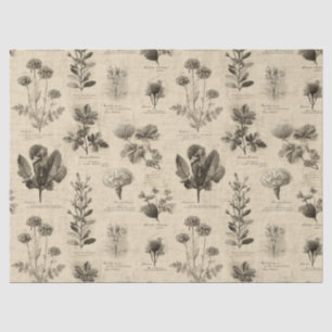 Vintage Botanical Floral Pattern (11) Tissue Paper