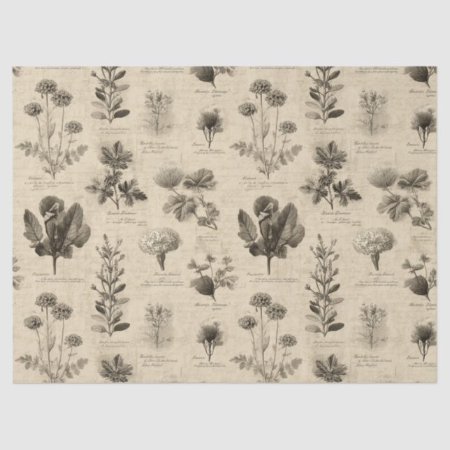 Vintage Botanical Floral Pattern (11) Tissue Paper (Front)