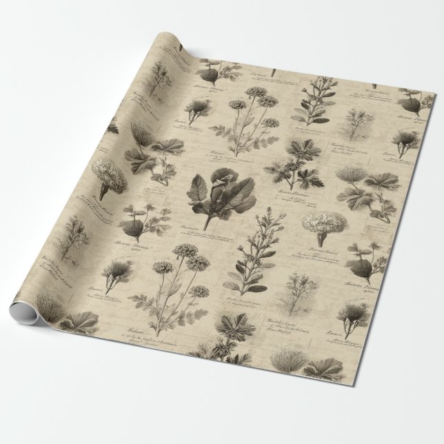 Vintage Botanical Floral Pattern (11) Wrapping Paper (Unrolled)