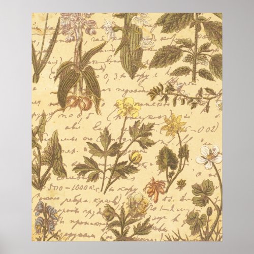 Vintage Botanical Floral Pattern Poster