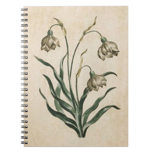 Vintage Botanical Floral Snowdrop Illustration Notebook
