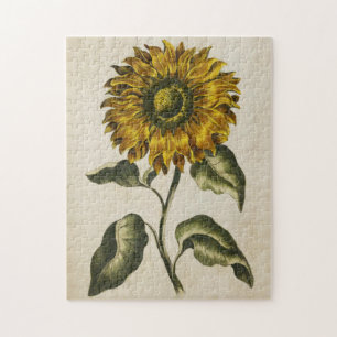 Vintage Botanical Floral Sunflower Jigsaw Puzzle