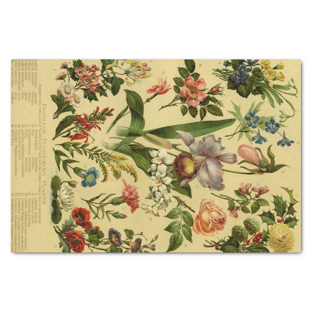 Vintage Botanical Floral Tissue Paper Zazzle
