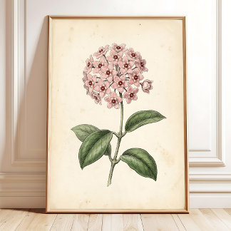 Vintage Botanical Floral Wall Art Print