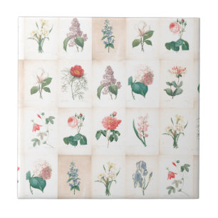 Vintage botanical Flowers by Redoute Tile