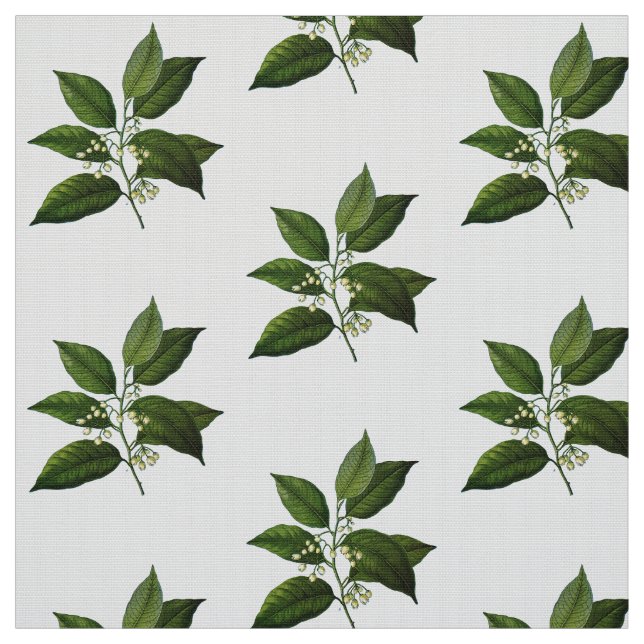Vintage Botanical Foliage Print Fabric (Swatch)